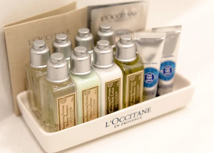 豪华客房广场 酒店 4*